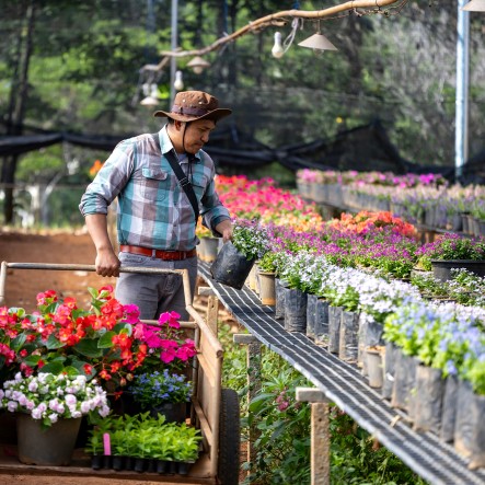 Gartencenter