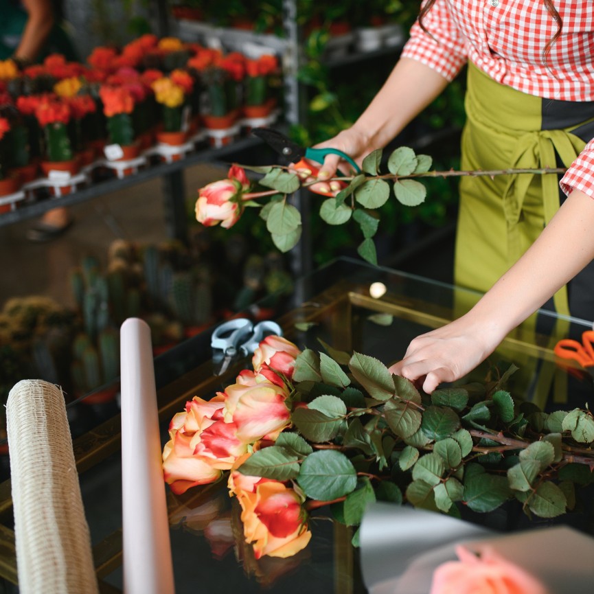 Rosas