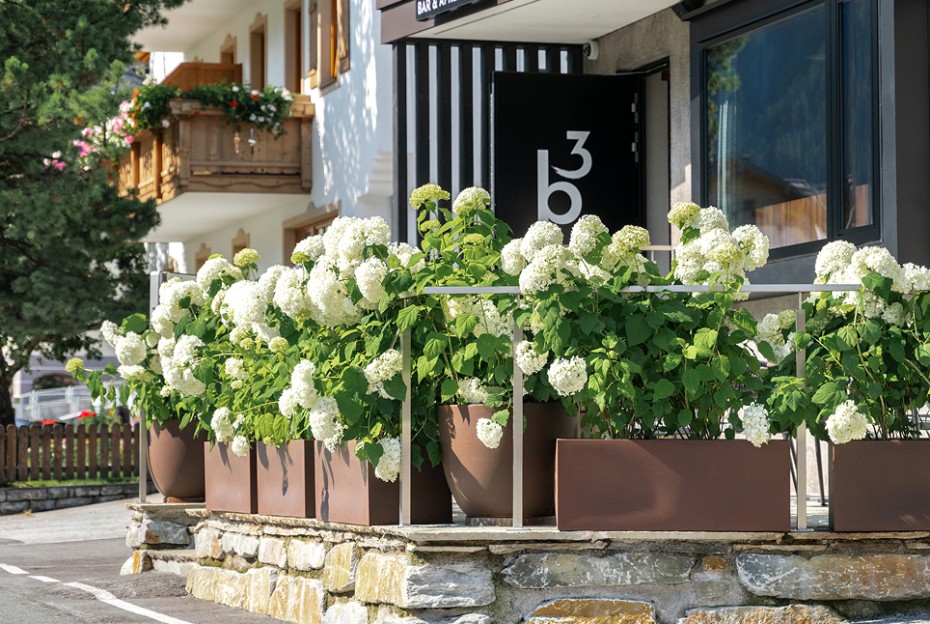 Sommerliche Terrasse mit weißen Hortensien und Blumendekoration vom Gartencenter Blumen Gollner